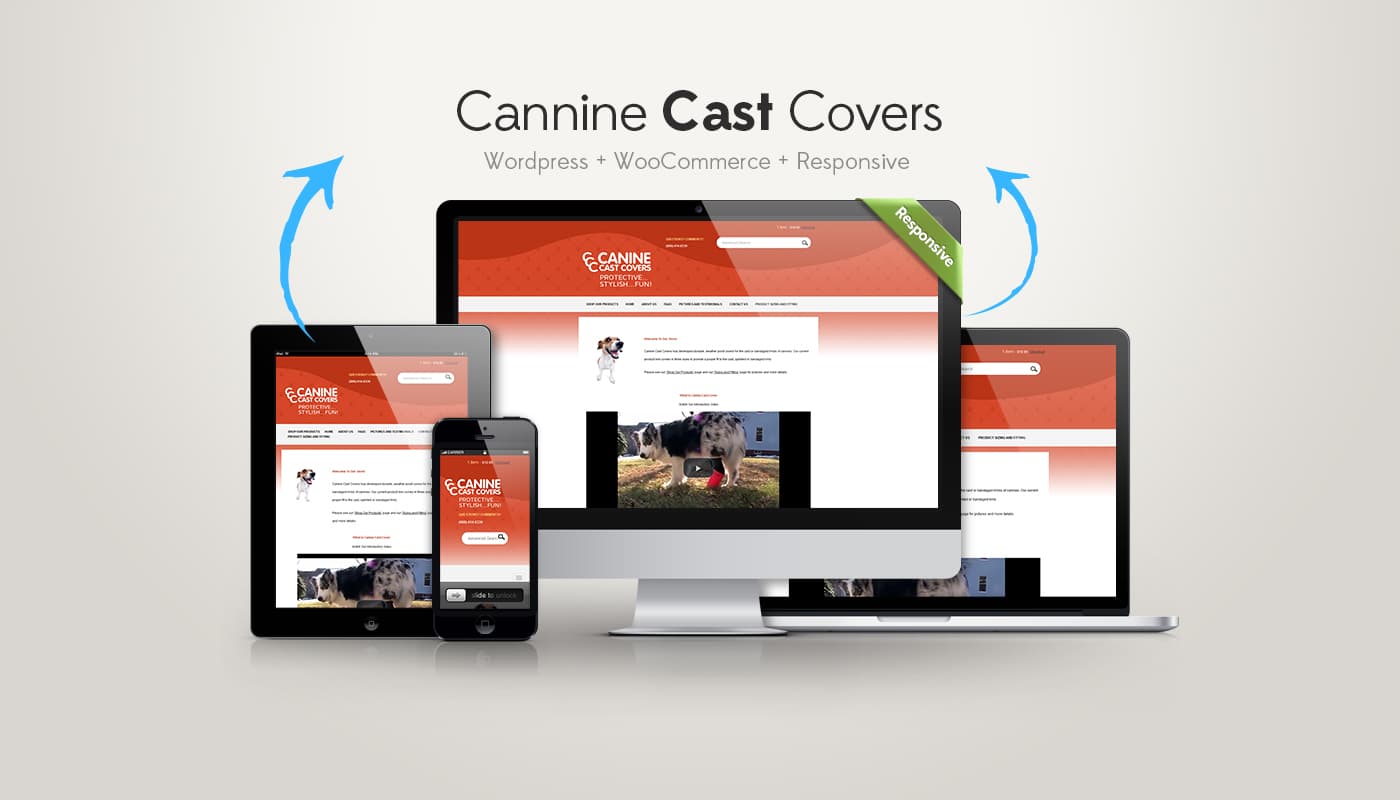 CCC — responsive showcase (mobile / tablet / desktop)