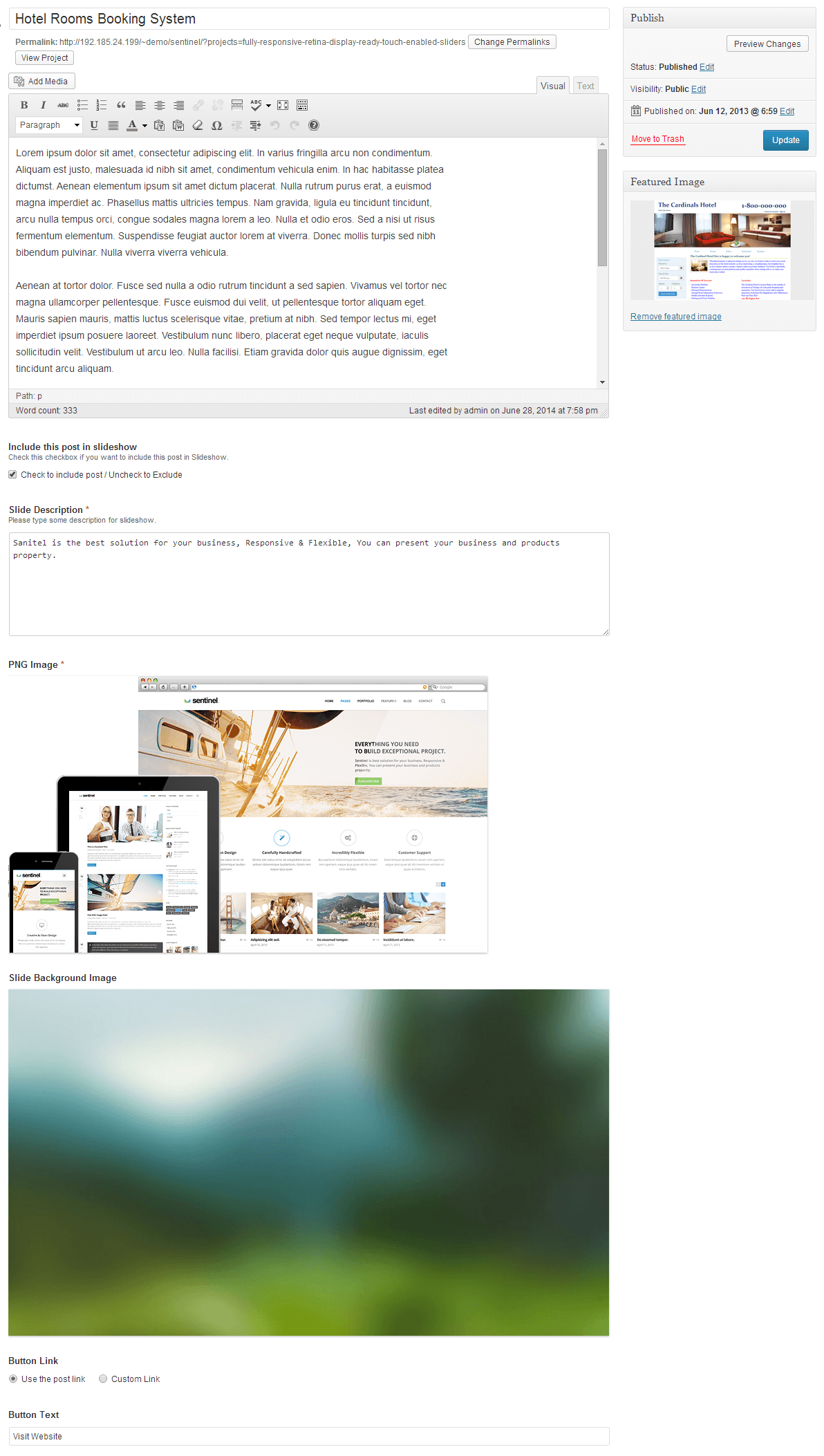Sentinel — admin: edit project (custom WordPress admin features)